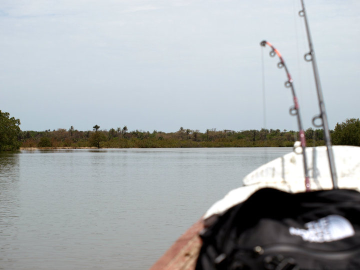 fishing in gambia - kurumbo lodge