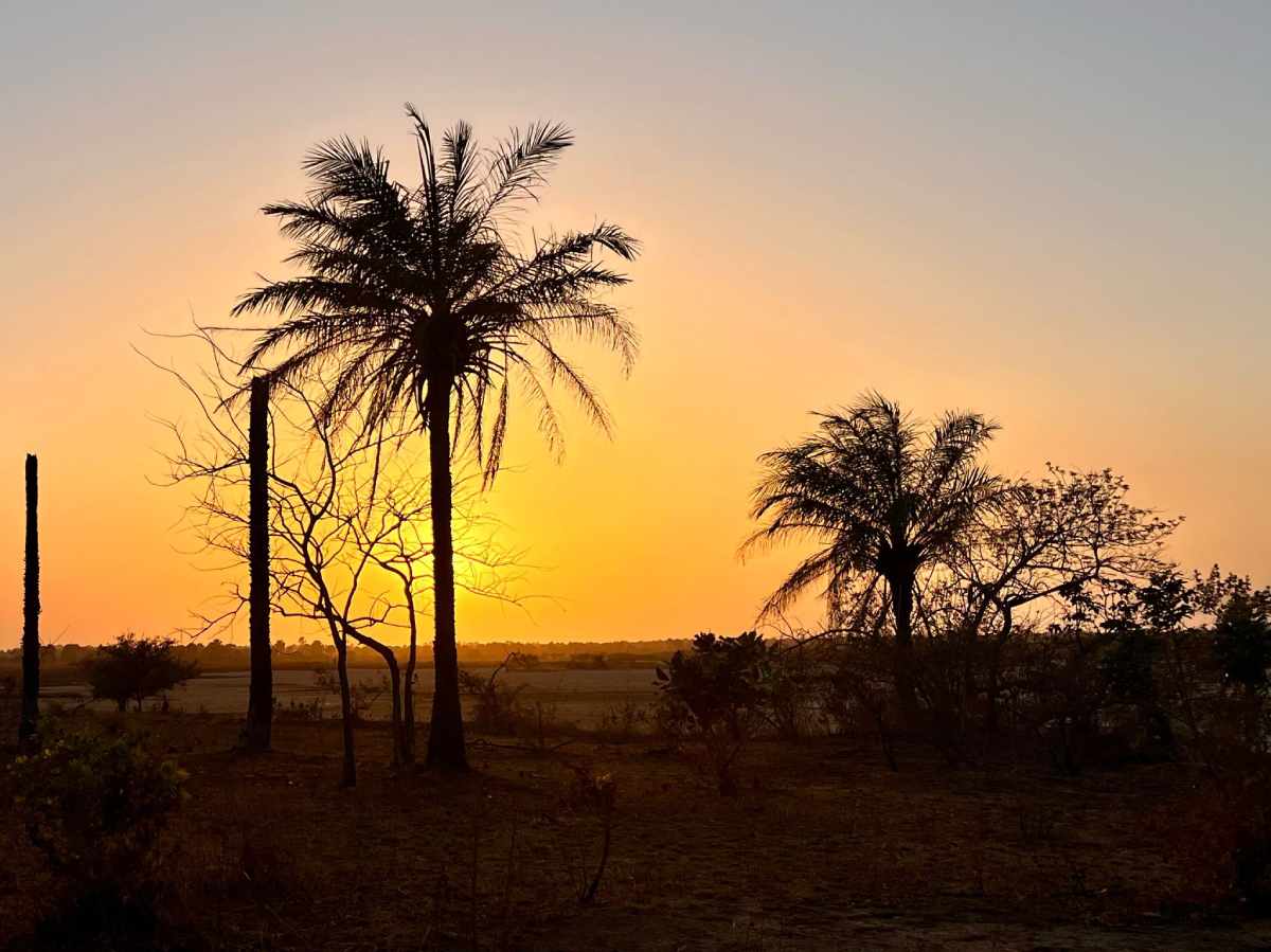 gambia lodge kurumbo